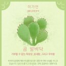 윌라라커피 이미지