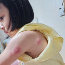 김소아청소년과의원 이미지