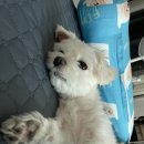 무지개맥주 구월길병원점 이미지