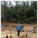 기역농장 이미지