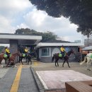 민속자연사 박물관 이미지
