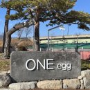 AG농장 | 영주 카페 :: 동물복지 유정란 에그타르트 맛집 원애그(ONEegg)