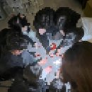 레츠고 | 하다하다 솔로파티 까지 간 주인장,,ㅋㅋ (블랙파티 구디1호점 후기 레츠고)