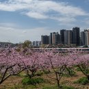 기차길옆 이미지