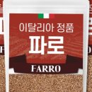 The 건강나무 이미지