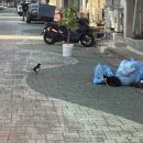 CU금강하구유원지점 | 2025年 10月 ②