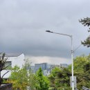 [청와대 방문 후기] 비 오는 주말, 조카들과 함께한 특별한 역사 여행 - 춘추관과 본관 탐방기
