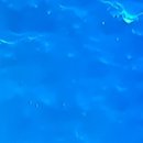 네츄러리플러스코리아 (주) 이미지