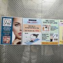 애플스킨