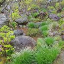 정원여인숙 이미지