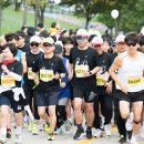 낙동강체육공원 어린이놀이터 이미지