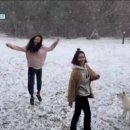 카루소술마시는노래방