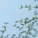 방치과의원 이미지