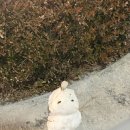 다이소안동용상점