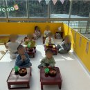 괴정유치원 이미지