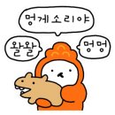 여행조아 이미지