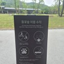 들꽃 | 담양 카페 추천｜뷰 좋고 공간 넓은 들꽃숲 후기