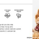 리움동물의료센터 이미지