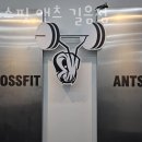 크로스핏 앤츠 | 길음동헬스장 크로스핏 앤츠 길음점 후기