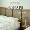 동대전농협 앞 | [경주 풀빌라추천] 실내바베큐 가능한 신상풀빌라 소월스테이 후기