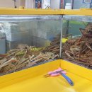 유림상회 이미지