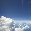 베스트셀러 내 손 안에 넣기 | [다낭 숙소] 나만 리트리트 리조트 | 하루종일 쉬어도 좋은 힐링 리조트