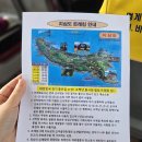 팡팡 | 경남 거제 지심도 유람선 지심도 동백꽃 배편 개화시기 지심도팡팡 후기