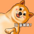 집의기록