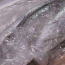 진도생선마을 이미지