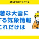 재해 절박 시 '이것 만큼은 해두기를' 대책 일러스트집 이미지