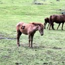 가산토방 호스텔 이미지