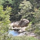 창녕농장 | [창녕] 🌿 자연과의 교감! 화왕산 스토리길 &#39;숲속애&#39; 카페