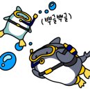 에스엔메드 이미지