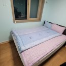 [울릉도] 11월 비 오는 날 울릉도 여행-여행사 선정(울릉도 매니아)