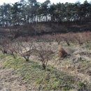 SKJ상경원요양병원 이미지