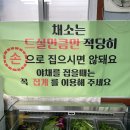 외동채소
