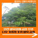남동조경건설 | 인천 벌목업체 공장 주변 나무 가지치기 및 벌목 공사