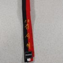 THE해온태권도 이미지