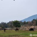 뿌리목장 이미지