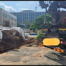 진주세무서 청사 이미지