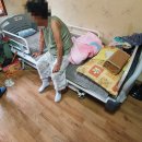 전동물병원 이미지