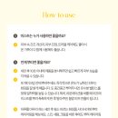 폴스킨