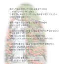 다음(Daum)카페 html5 태그와 CSS3 적용하여 꾸미기-div 태그 이미지