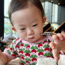 평촌목장 | 내돈내산 추천템 아기요거트 추천 언제부터 간식 평촌요구르트, 상하목장마이리틀, 스타벅스그릭요거트병