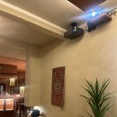 아레나로하 이미지