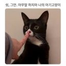 교촌치킨신 - 마포구 만리재로 74 | 교촌치킨신