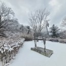 냉천골공원 이미지