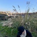 뉴비(new-b) 이미지