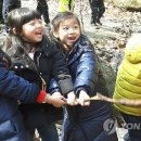 사단법인 한국숲유치원협회