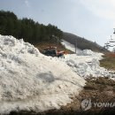 용평리조트 연합뉴스